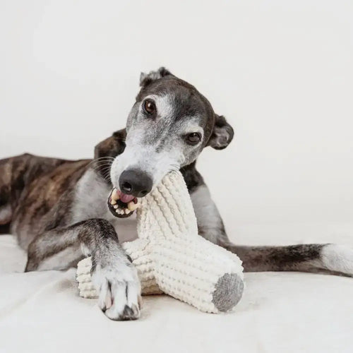 BREUER Hundespielzeug – Minimalistisches Design inspiriert von Tetrapoden für interaktiven Spielspaß