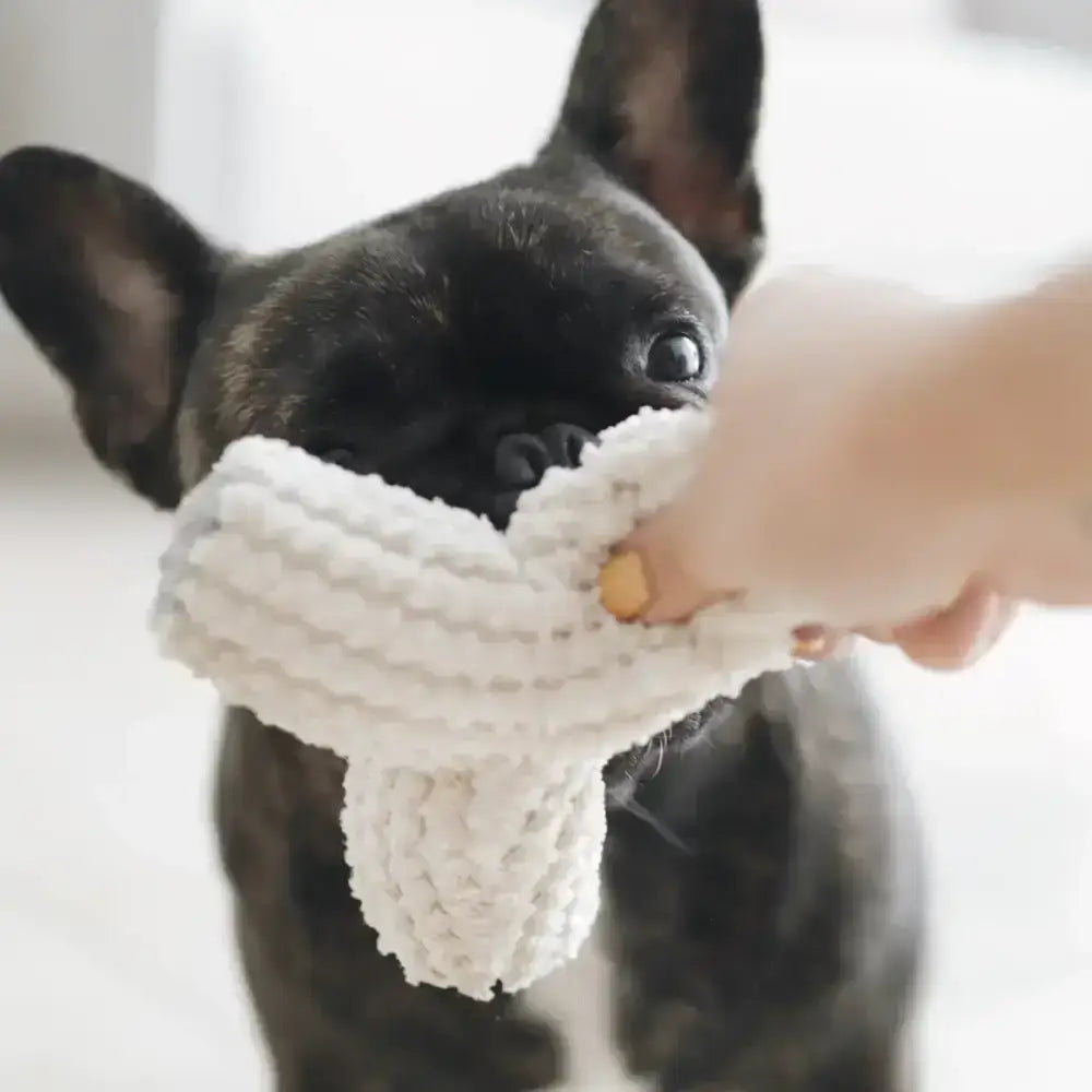 Minimalistisches Hundespielzeug BREUER – Perfekt für Wurfspiele & interaktive Beschäftigung