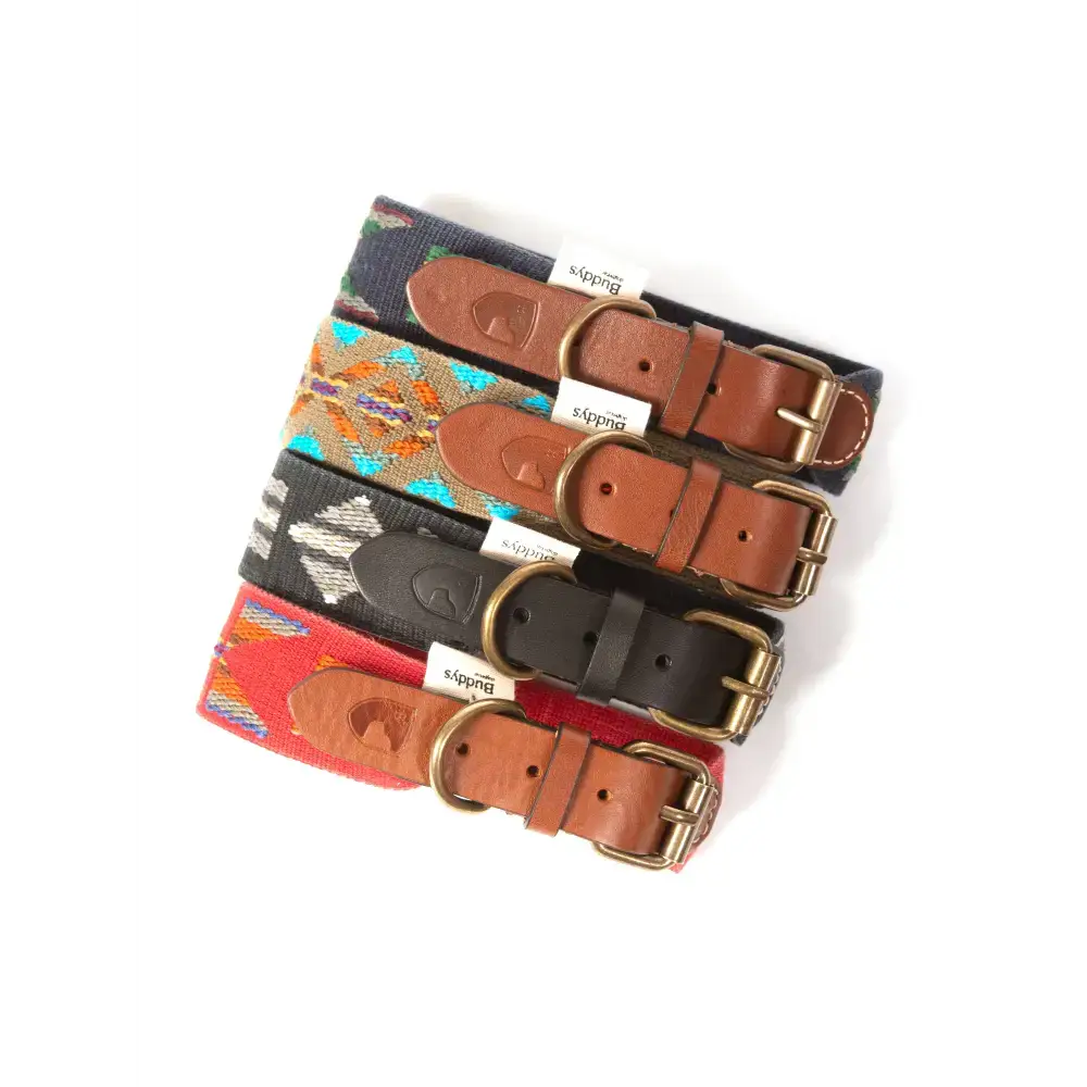 ETNA Hundehalsband-Kollektion in vier Farben von Buddys Dogwear – hochwertige Bohemian-Halsbänder für stilbewusste Hundehalter.