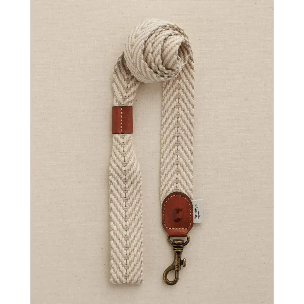 Perfektes Set: PORTIXOL SAND Hundehalsband mit passender Leine – stilvolle Summer Edition von Buddsy Dogwear für modebewusste Hundehalter.