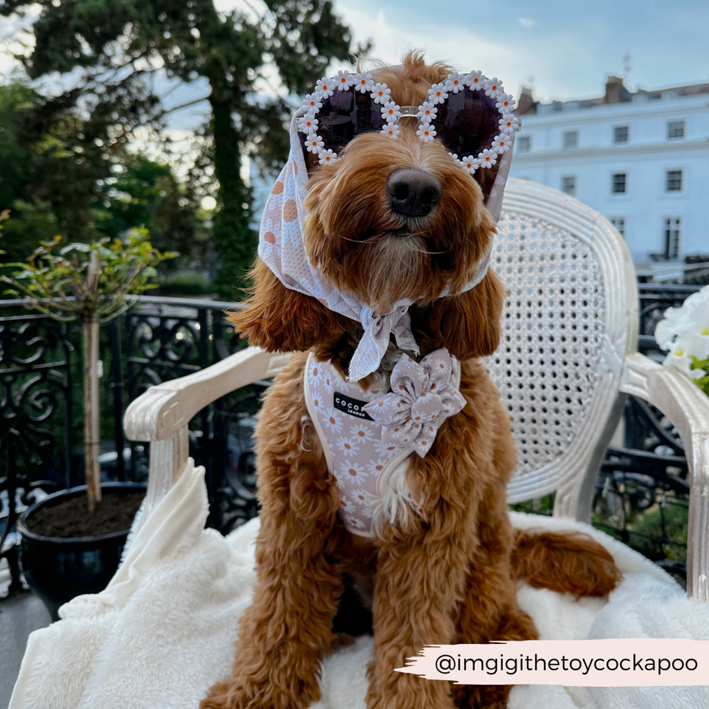 Daisy Chain | Halsbandblume - Halstuch