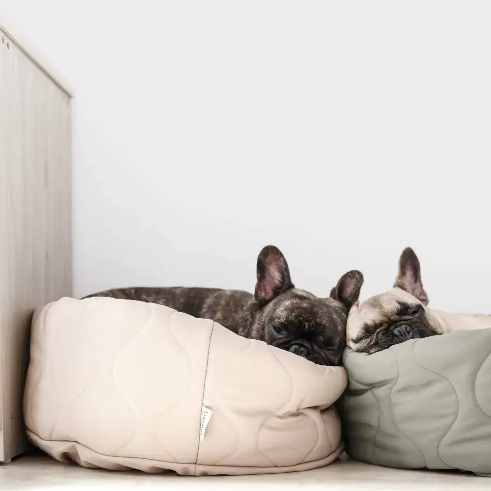 TAART Hundebett in zwei Farbvarianten – moderne Auswahl für jeden Wohnstil von Lambwolf Collective in Camel und Farn