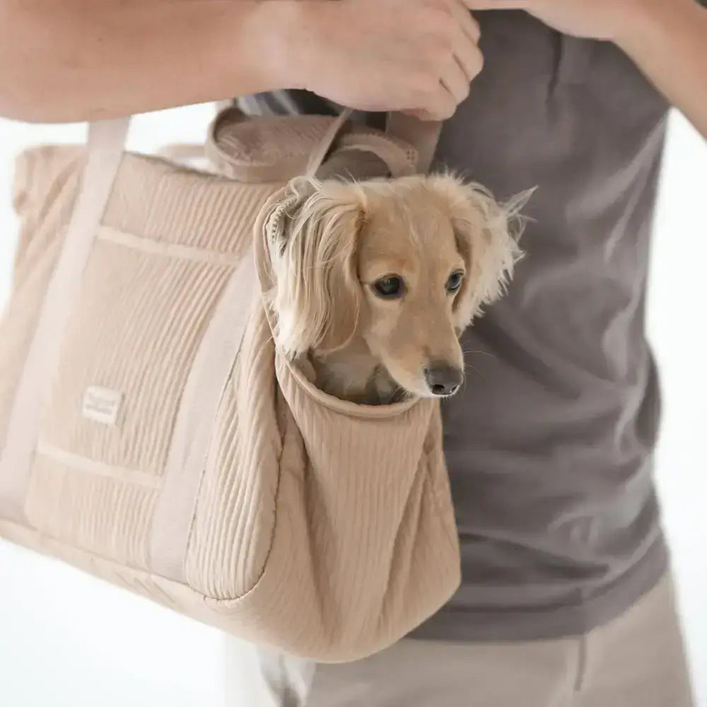 CITY Hundetragetasche mit vollständigem Verschluss in Beige – Sicher und bequem für deinen kleinen Vierbeiner