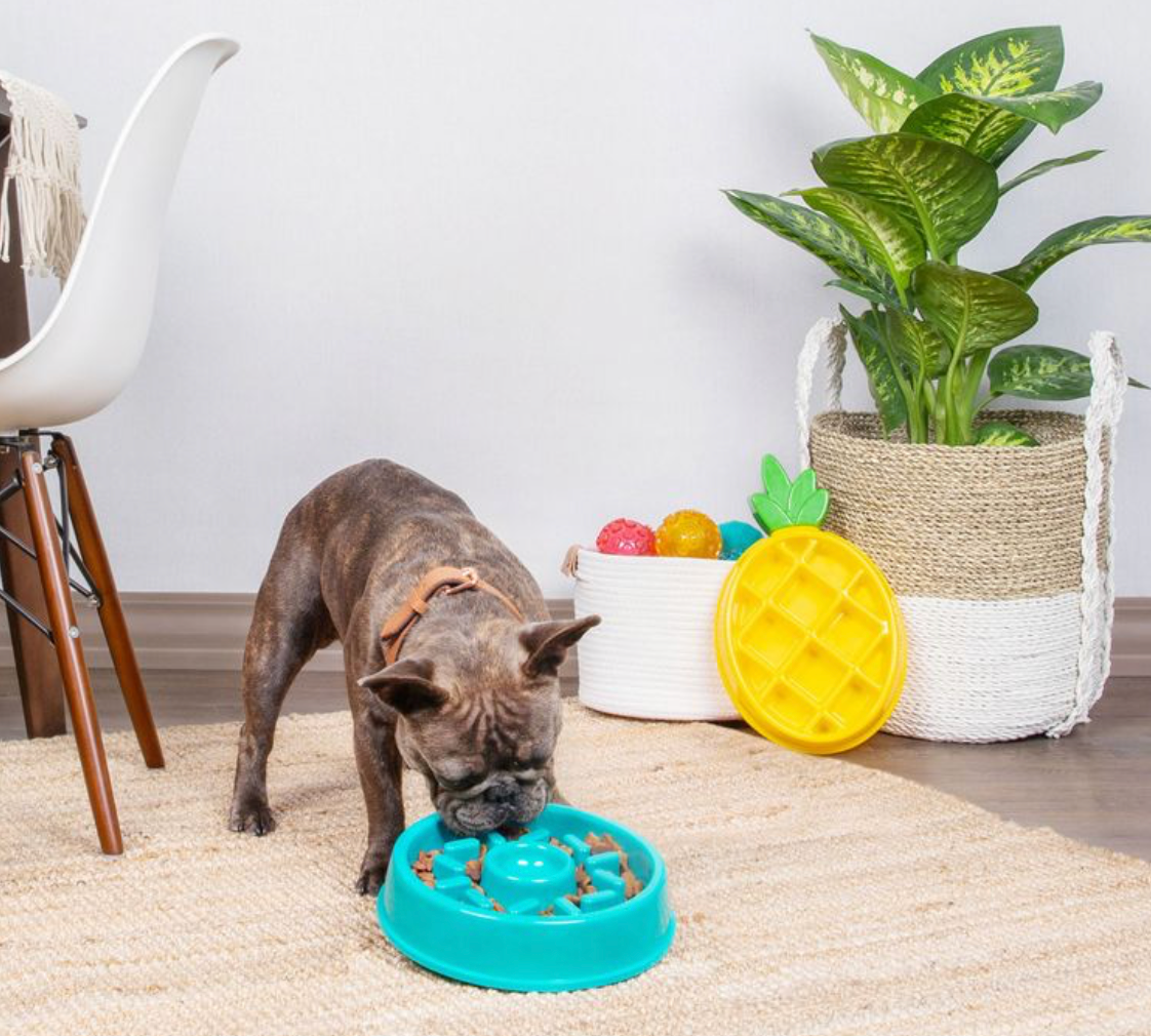 Slow-Feed-Napf | Happy Bowl Donut - Näpfe