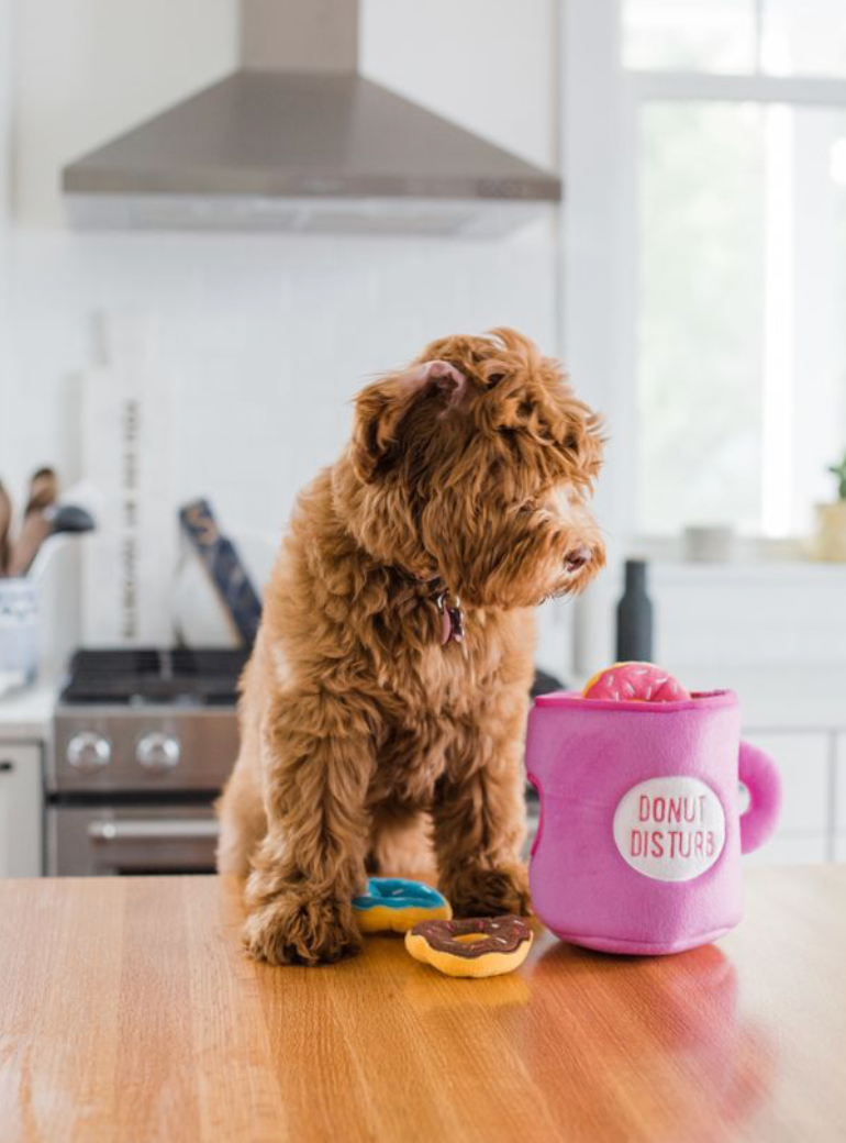 Beschäftigungsspielzeug | Zippy Burrow Coffee and Donutz - Hundespielzeug