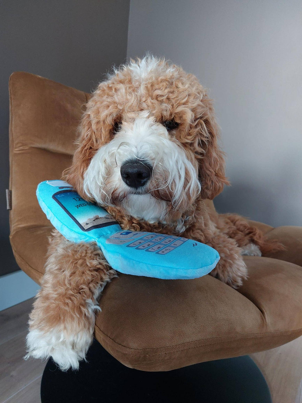 Hundespielzeug | Klapp Handy - Hundespielzeug