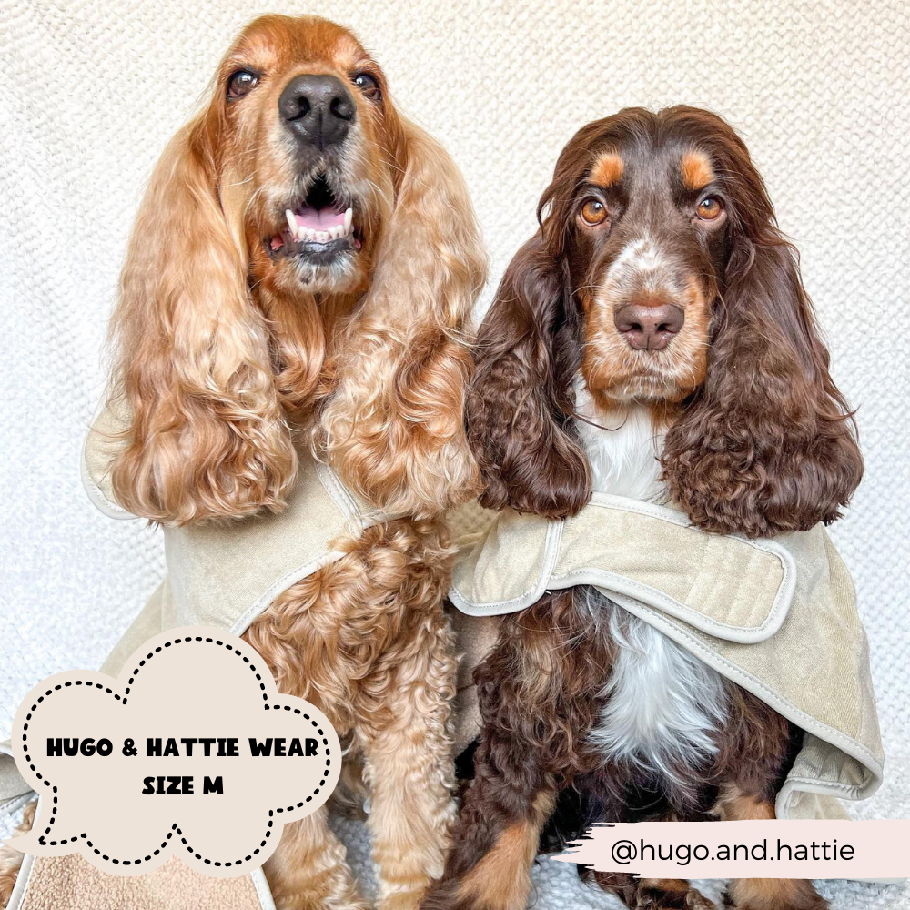 Hunde Bademantel | Teddy - Hundebademantel