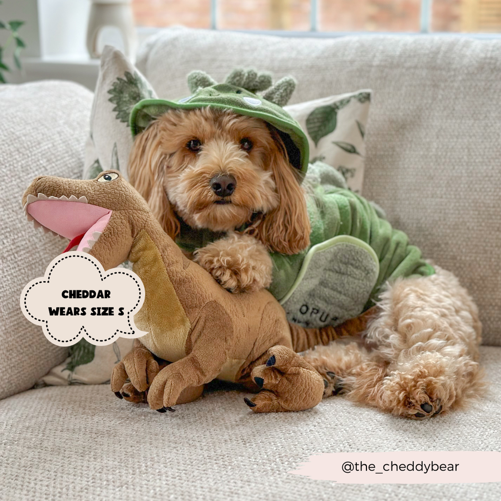 Hunde Bademantel | Dinopup - Hundebademantel