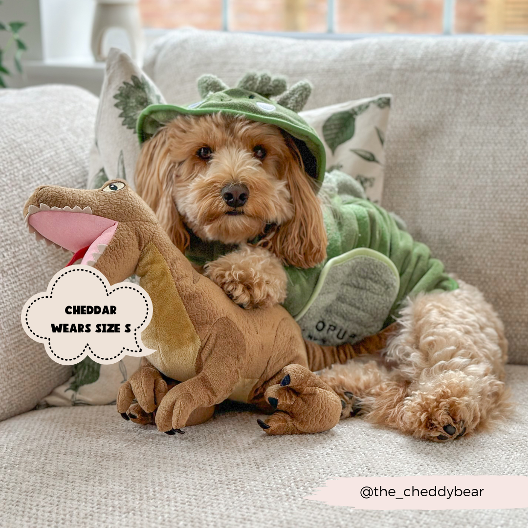 Hunde Bademantel | Dinopup - Hundebademantel