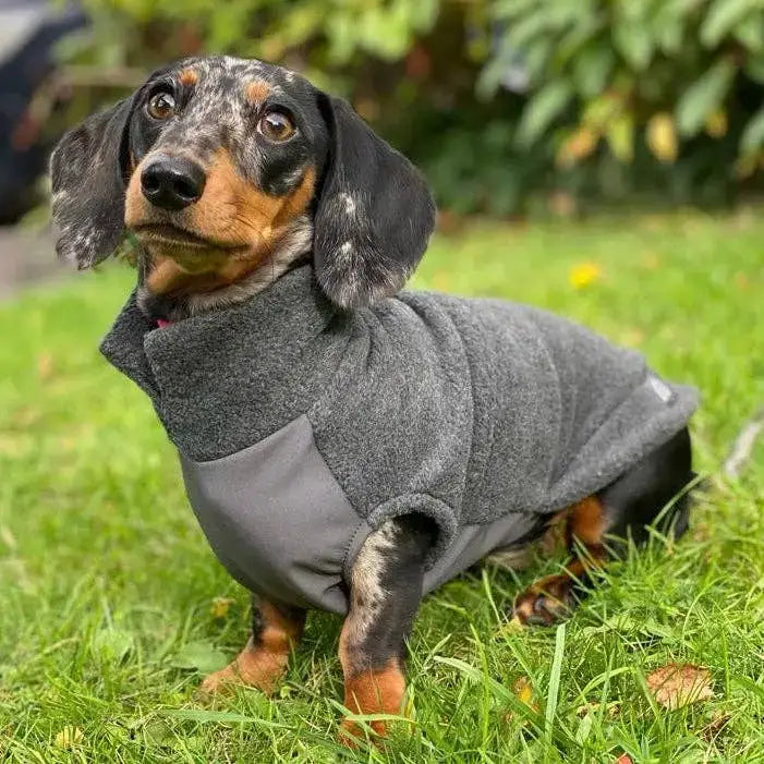 Hundemantel // Dackel Fleecepullover mit wasserdichtem Baucheinsatz // Grau - Hundepullover