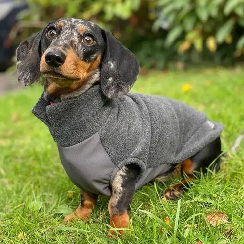 Hondenjas // Teckel Fleecepullover met waterdichte buikinzet // Grijs - Hondenpullover