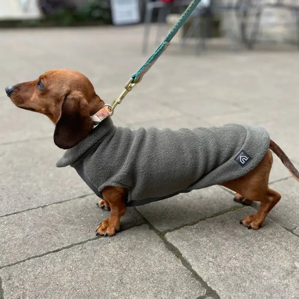 Hundemantel // Dackel Fleecepullover mit wasserdichtem Baucheinsatz // Grau - Hundepullover