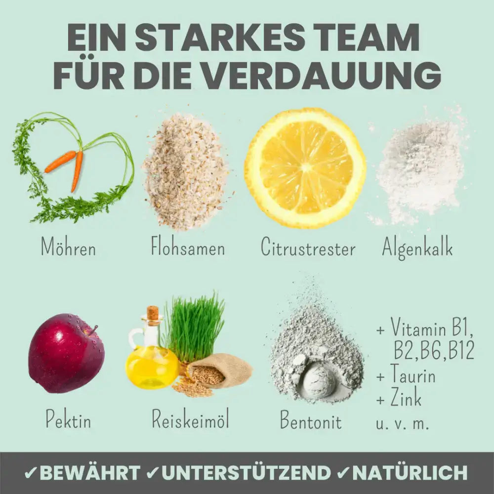 Natürliche Hilfe bei Verdauungsproblemen von Haustieren – Unterstützt Magen, Darm & Immunsystem.