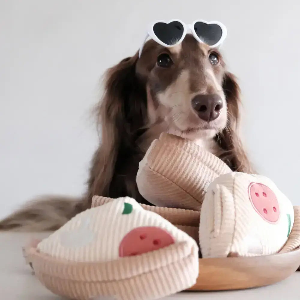 Pizza-förmiges Hundespielzeug von Lambwolf Collective – Perfekt für Schnüffel- und Belohnungsspiele