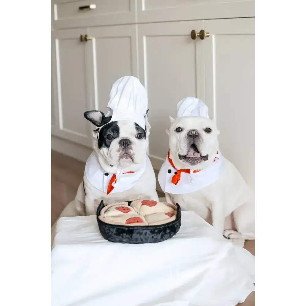 Hundespielzeug DEEP DISH PIZZA – Fördert den natürlichen Suchtrieb mit versteckten Leckerlis
