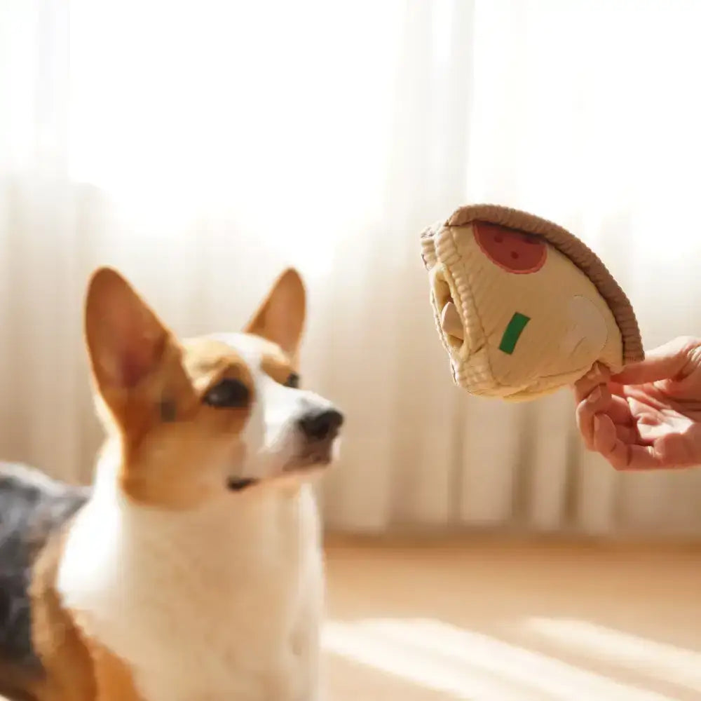 Schnüffelspielzeug für Hunde – DEEP DISH PIZZA mit 8 Verstecktaschen für Leckerlis