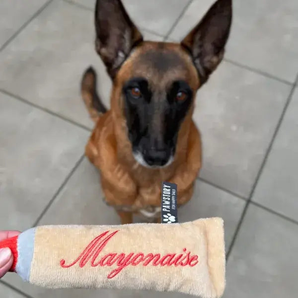 Detailaufnahme des Plüschspielzeugs für Hunde – weiches Material mit Knisterfolie und Quietscher