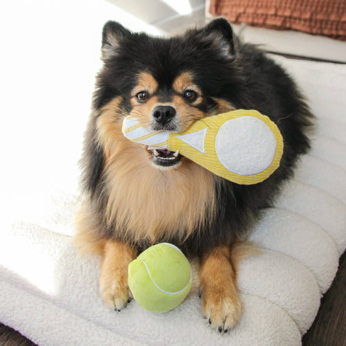 Beschäftigungsspielzeug | TENNIS POP - Hundespielzeug