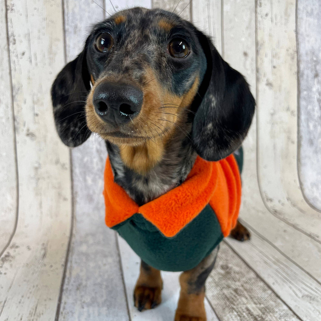Doghouse Dackel Fleecepullover Orange-Grün – Frontansicht, warm & atmungsaktiv