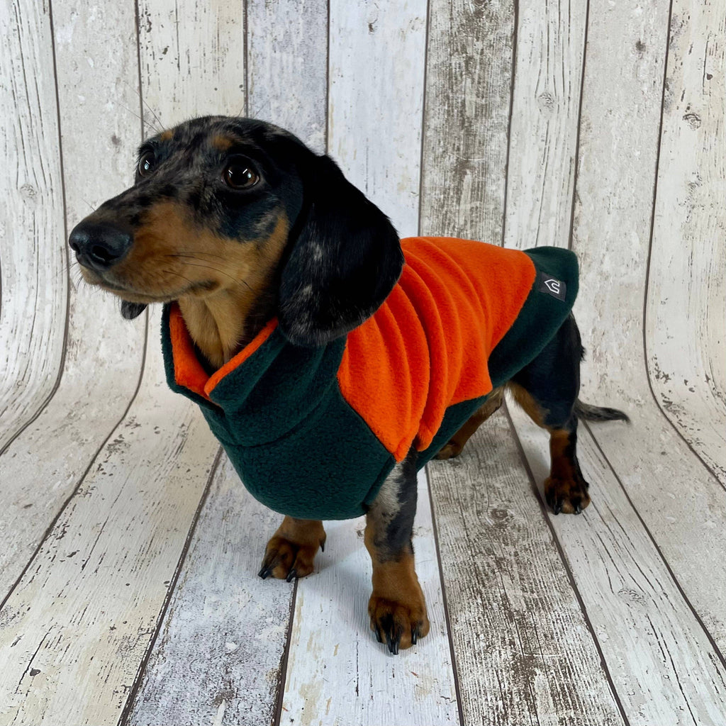 Dackel trägt Doghouse Fleecepullover in Orange-Grün – Seitenansicht, dackelgerechter Schnitt