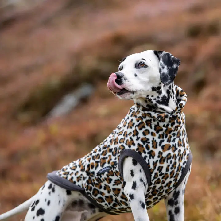 Dalmatiner mit Doghouse Fleecepullover im Leopard-Design – Outdoor, bequeme Passform L–XL