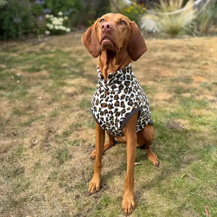 Großer Hund im Doghouse Leopard Fleecepullover – Frontansicht, warm & atmungsaktiv
