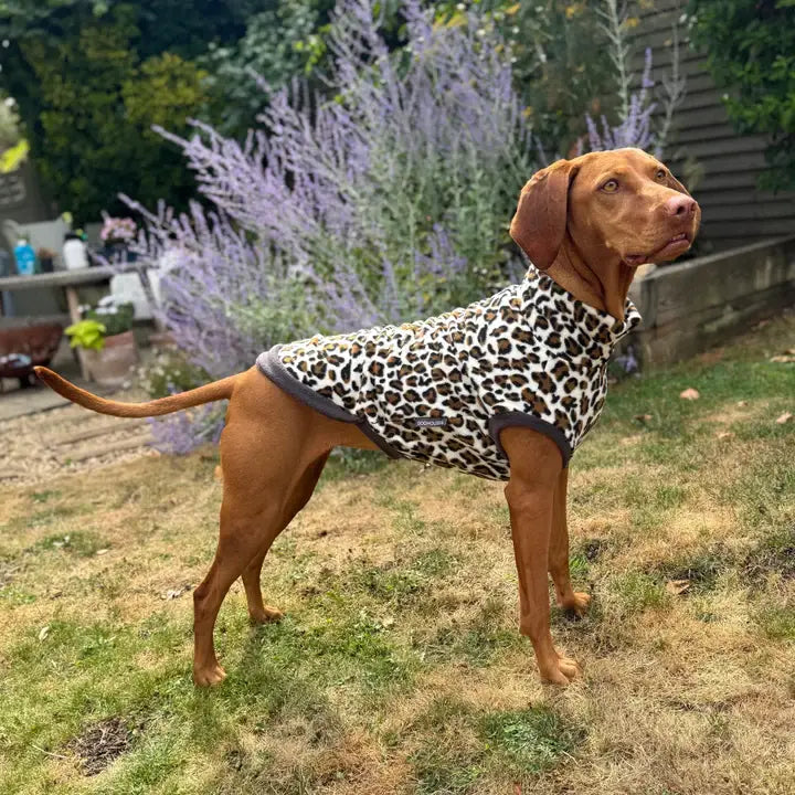 Vizsla trägt Doghouse Fleecepullover im Leopard-Muster – Seitenansicht (für große Hunde L–XL)