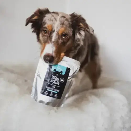 Tales & Tails Dorschfilet – Perfekt für Futtertuben & Schleckmatten