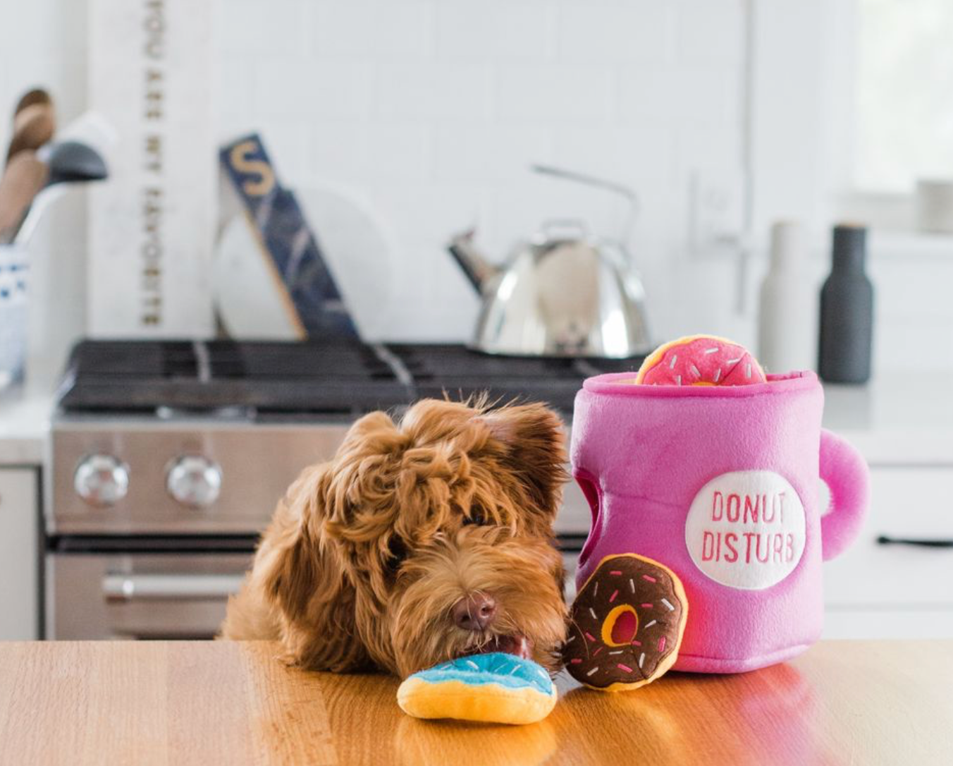 Beschäftigungsspielzeug | Zippy Burrow Coffee and Donutz - Hundespielzeug