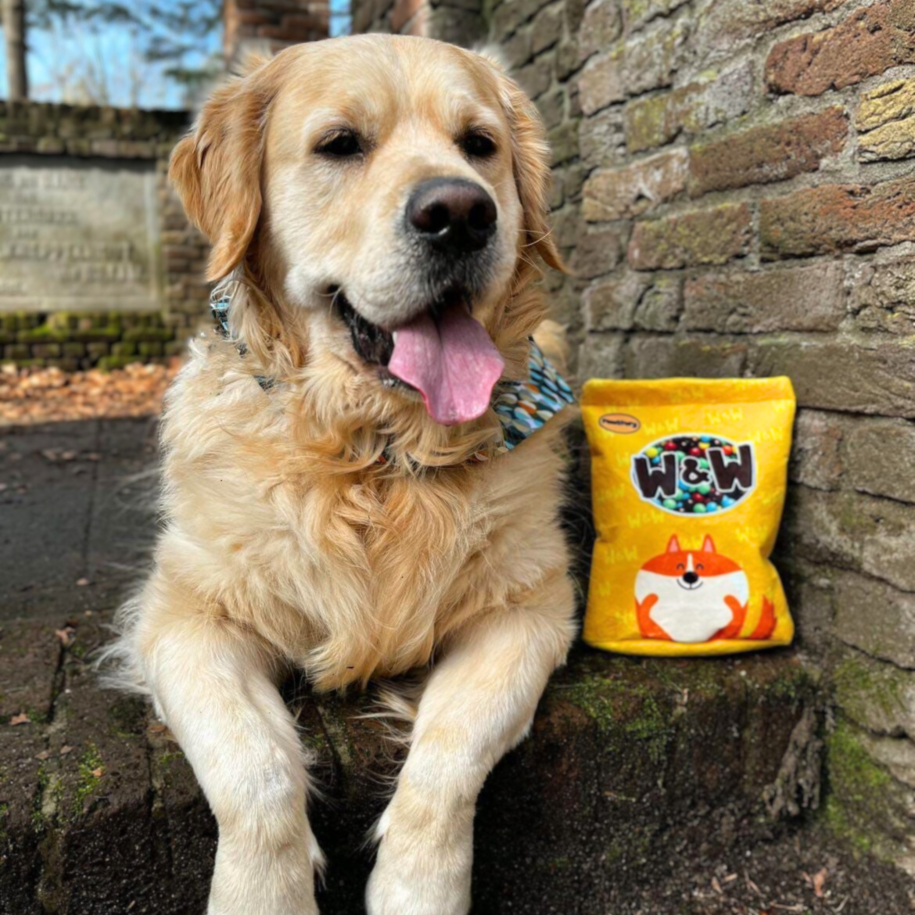 Beschäftigungsspielzeug | W&W’s Choco Delight - Hundespielzeug