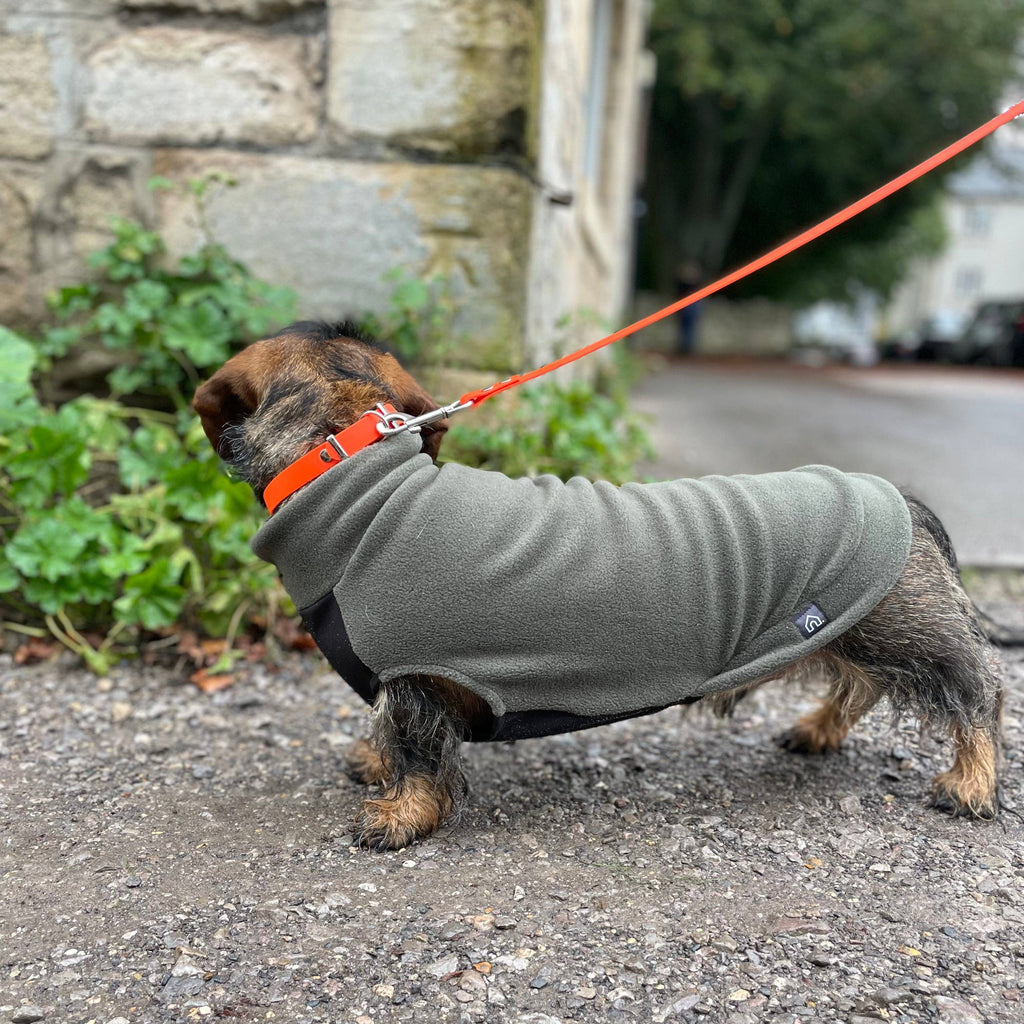 Standard Dackel Fleecepullover | mit wasserdichtem Baucheinsatz - Hundepullover