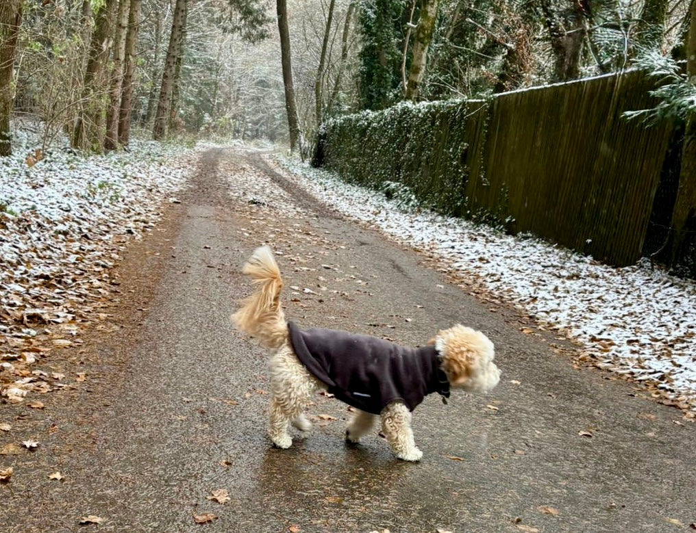 Fleecepullover für mittelgroße Hunde | Charcoal - Charcoal - Hundepullover