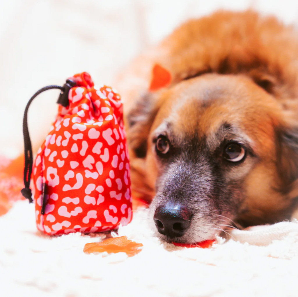 Leckerlibeutel mit Kordelzug | Red&Pink Leopard - Red&Pink Leopard - Leckerlibeutel