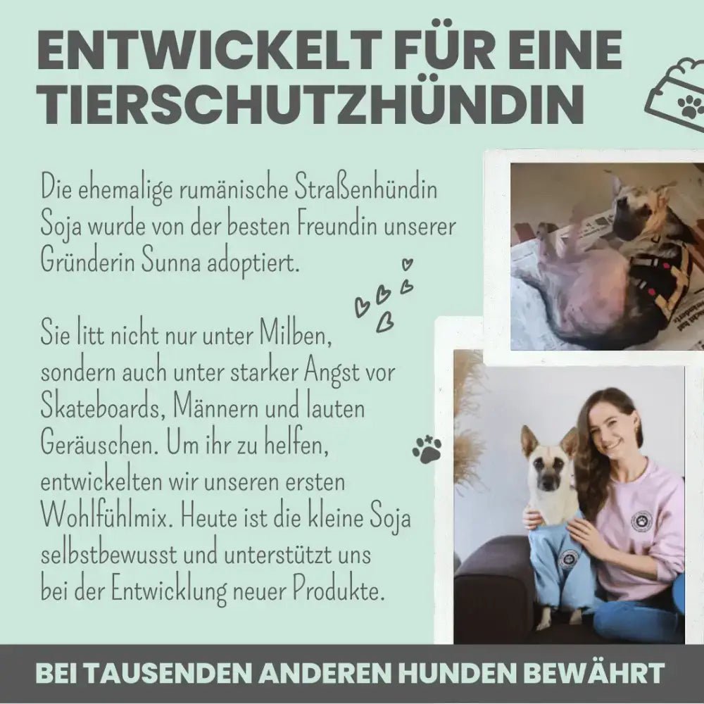 Entspannung für Hunde in stressigen Situationen – Perfekt für Silvester, Reisen oder Tierarztbesuche.