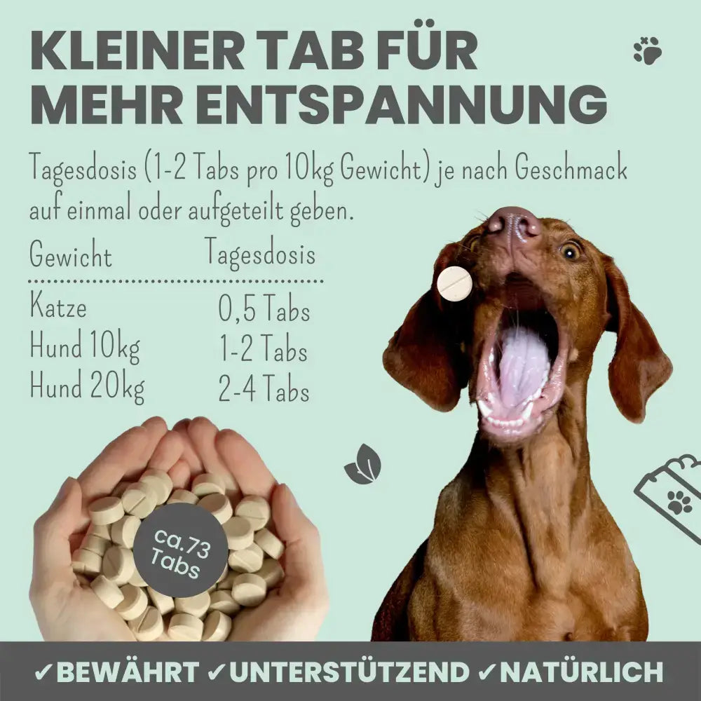 Entspannung für Hunde & Katzen – Unterstützt bei Angst, Geräuschempfindlichkeit & Nervosität.