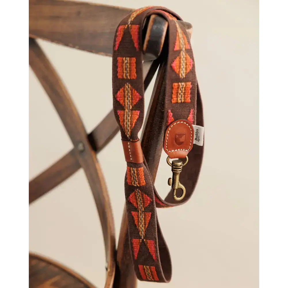 ETNA BROWN Hundehalsband mit passender Leine – das perfekte Set für modebewusste Hunde und ihre Besitzer.