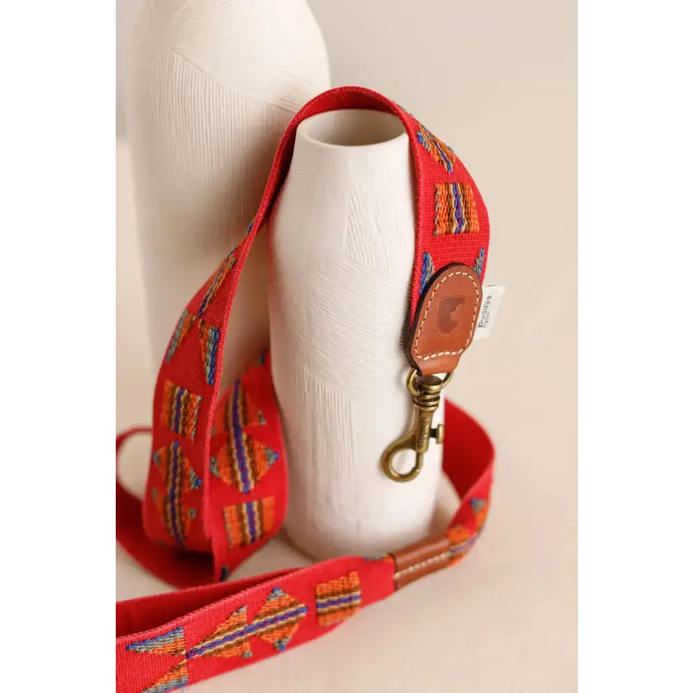 Das ETNA RED Hundehalsband mit passender Leine – perfektes Set für stilbewusste Hunde und ihre Besitzer.