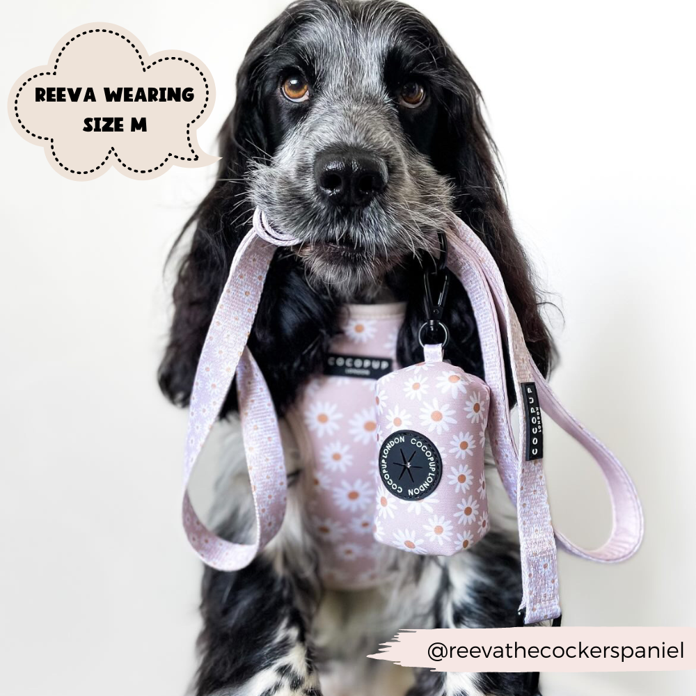 Kotbeutelspender | Daisy Chain - Kotbeutelspender