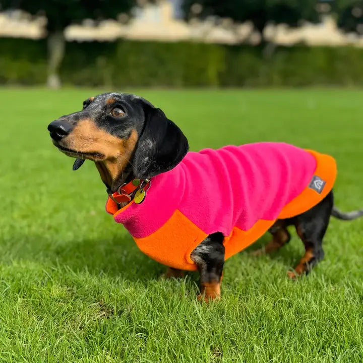Dackel Fleecepullover | Zweifarbig Orange-Pink - Hundepullover