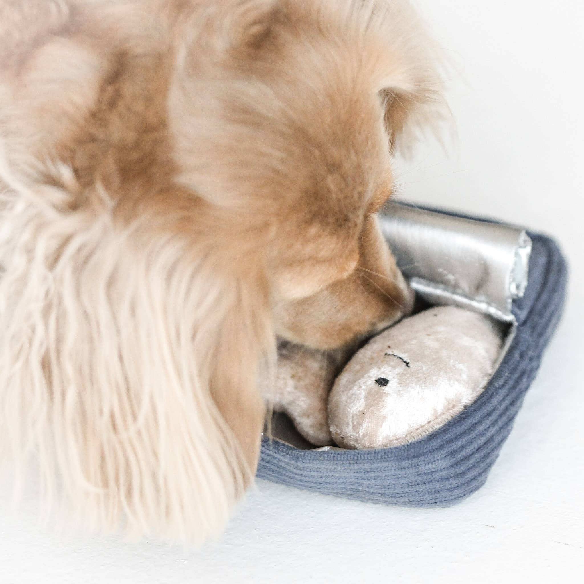 Beschäftigungsspielzeug | SARDINEN - Hundespielzeug