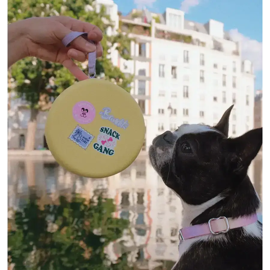 Ein Hund genießt seine Pause und trinkt aus dem Reisenapf. Dank des cleveren Designs kann dein Vierbeiner unterwegs jederzeit versorgt werden.