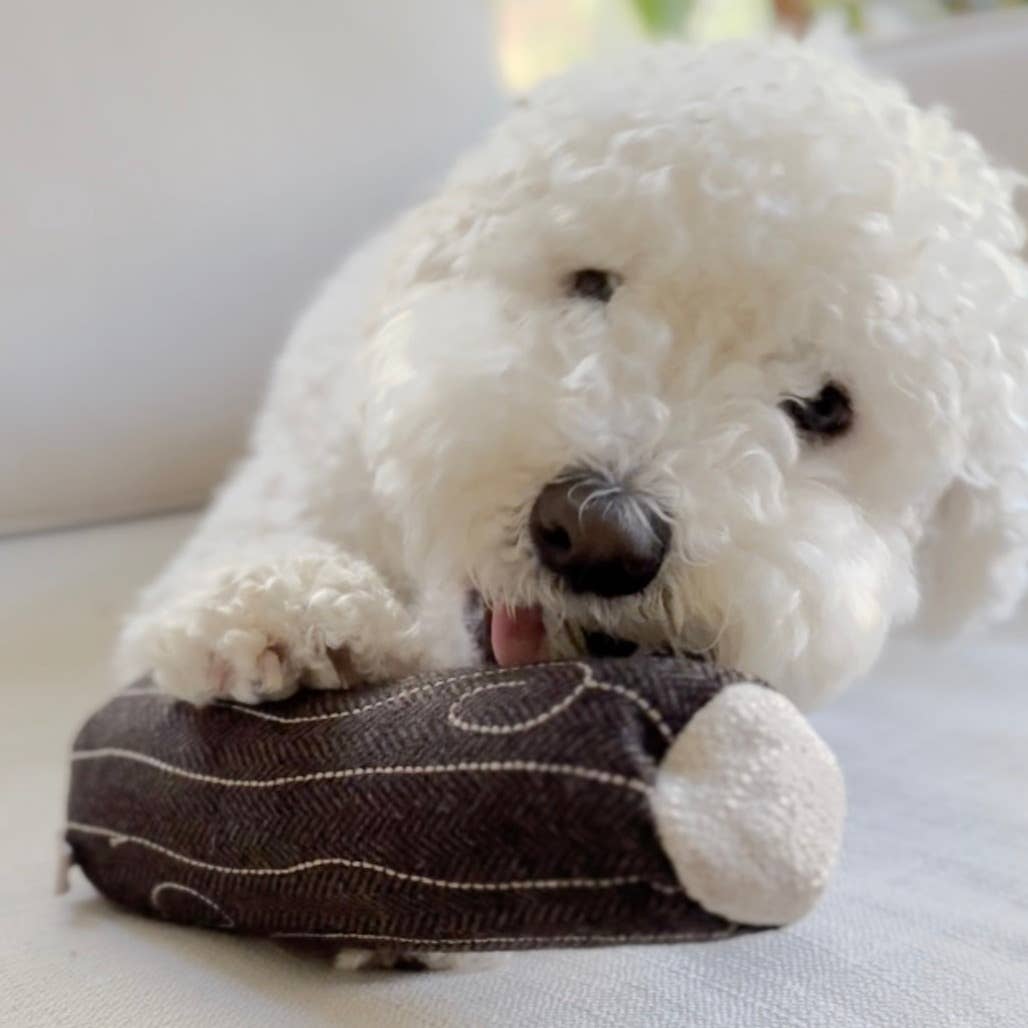 Hund spielt begeistert mit dem FIRE LOG Quietschspielzeug von Lambwolf – Abenteuerzeit für Fellfreunde