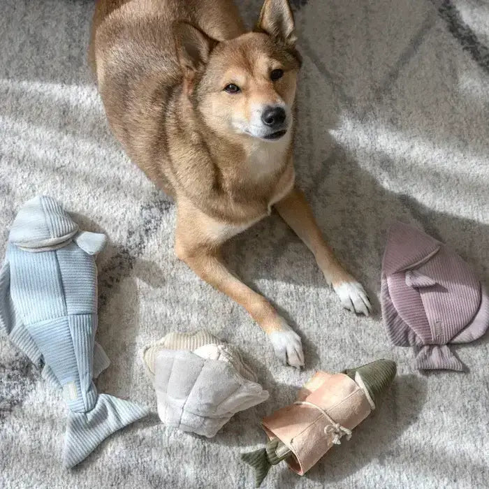 FISH ANGEL Intelligenzspielzeug von Lambwolf Collective – Interaktives Hundespielzeug für mentale Auslastung