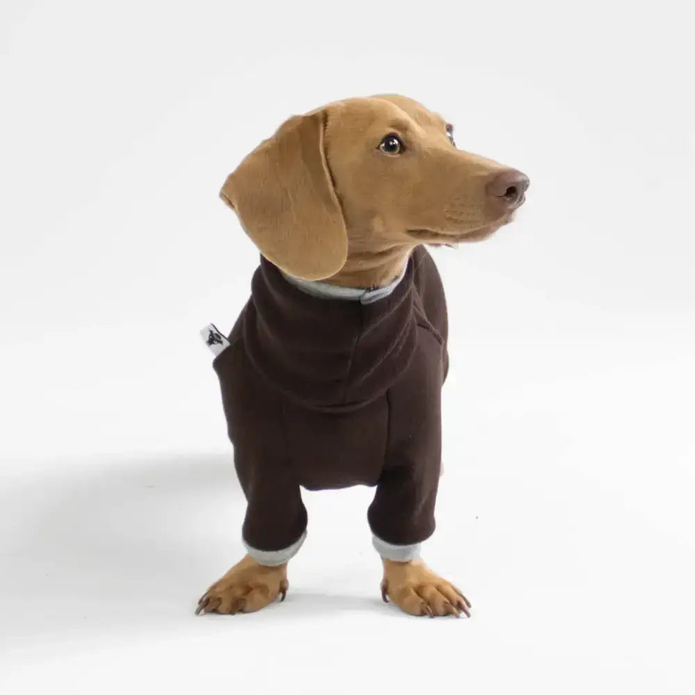Fleece Overall für Dackel Brown - Hundepullover