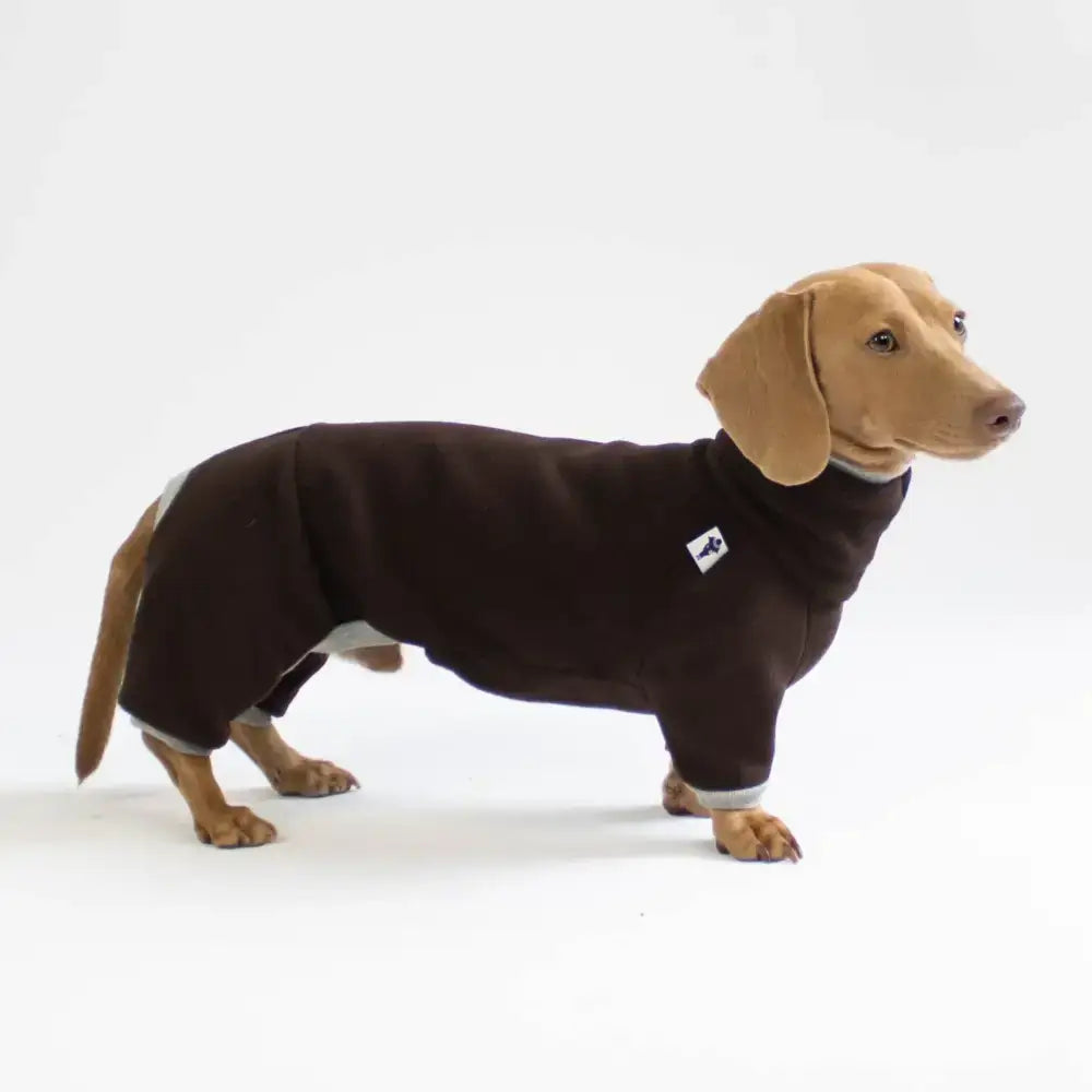 Fleece Overall für Dackel Brown - Hundepullover