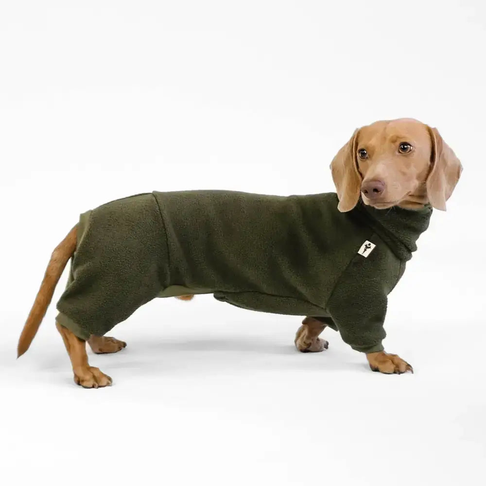 Fleece Overall für Dackel Dark Olive - Hundepullover