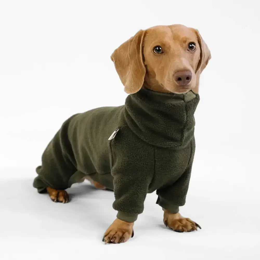 Fleece Overall für Dackel Dark Olive - Hundepullover