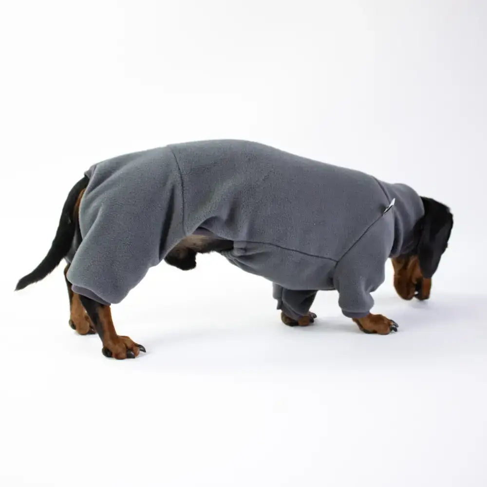 Fleece Overall für Dackel Graphite - Hundepullover