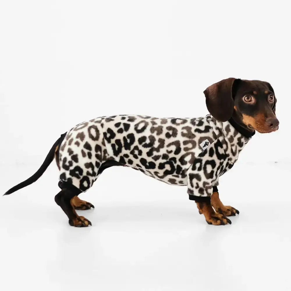 Fleece Overall für Dackel Leo - Hundepullover
