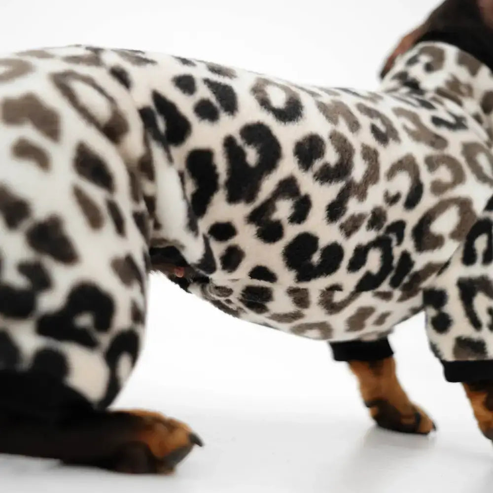 Fleece Overall für Dackel Leo - Hundepullover